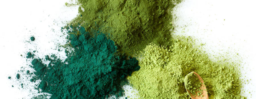 Nutrient loss in powdered Spirulina