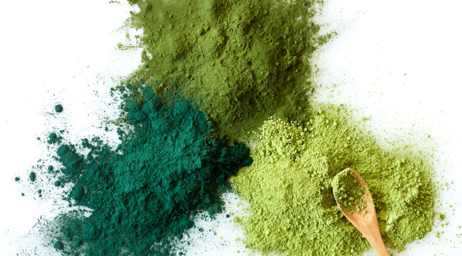 Nutrient loss in powdered Spirulina