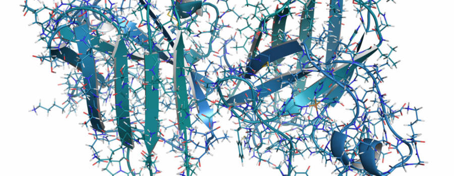 Superoxide Dismutase – The Master Antioxidant