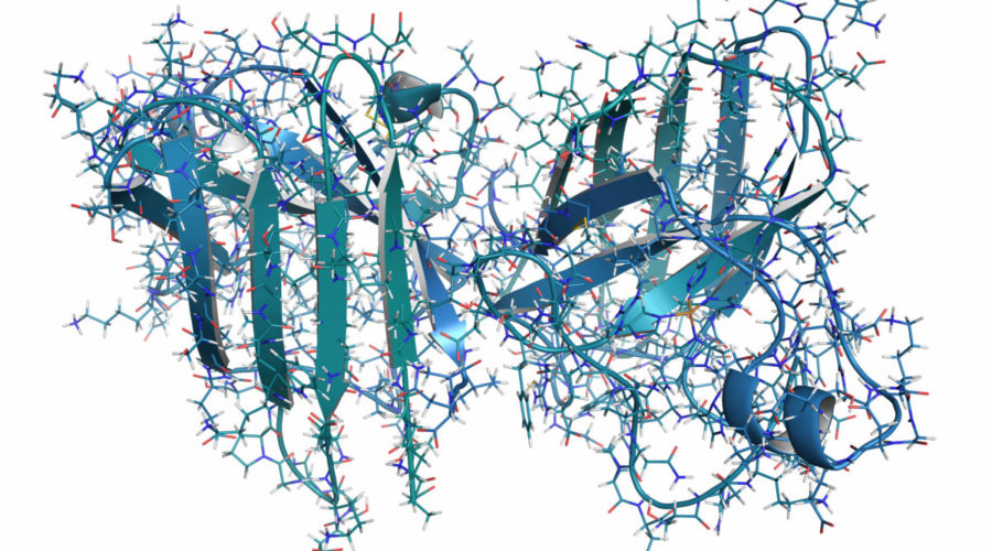 Superoxide Dismutase – The Master Antioxidant