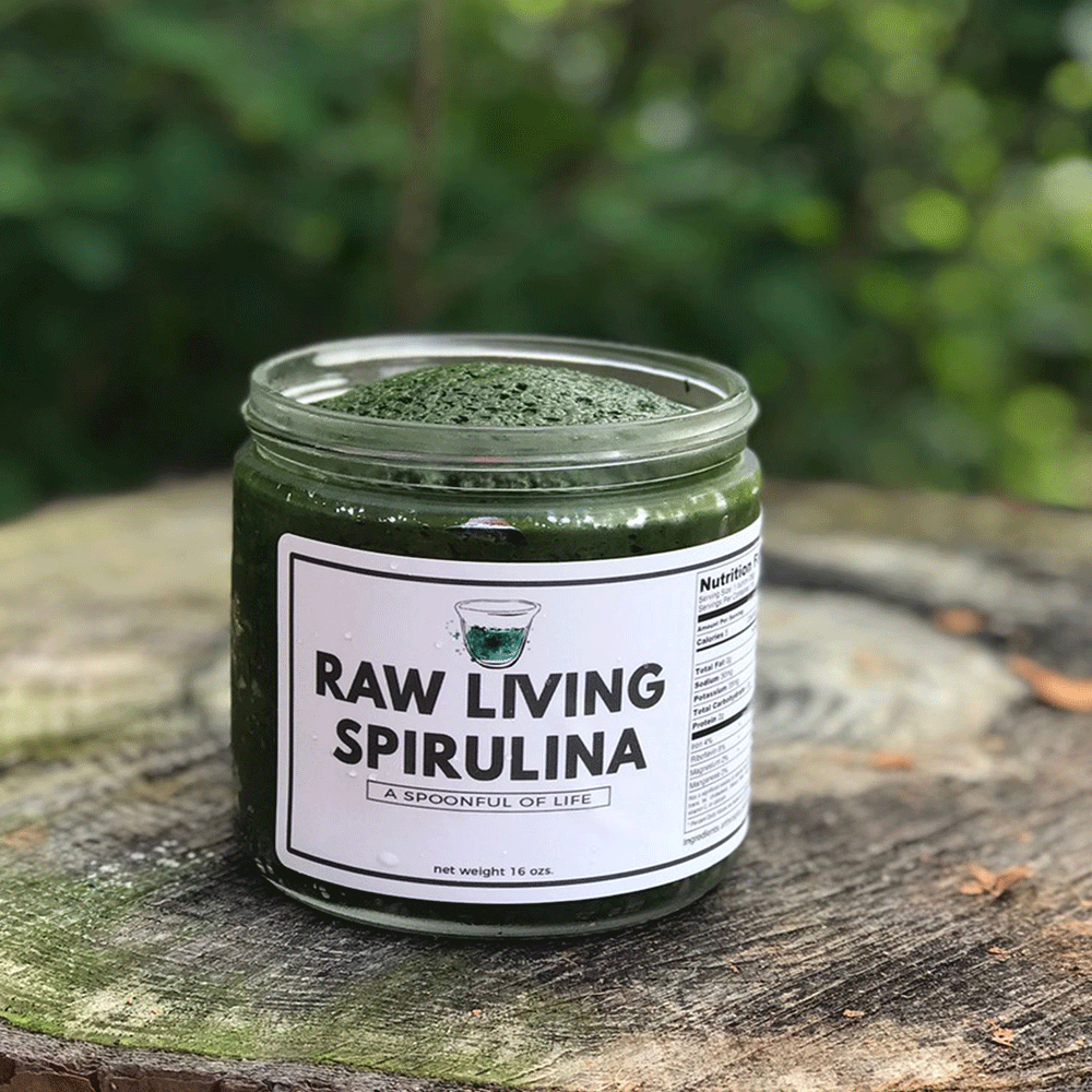 Perfect Health in a Jar - Raw Living Spirulina