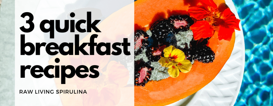 3 Quick Morning Recipes to Start Your Day Easy and Healthy