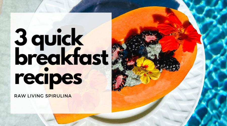 3 Quick Morning Recipes to Start Your Day Easy and Healthy