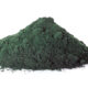 The High-Heat Problem: How Spray Drying Destroys Spirulina’s Vital Nutrients